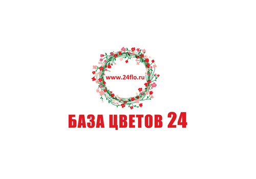 База цветов 24
