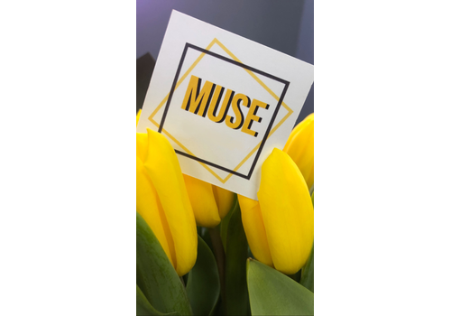 MUSE студия красоты